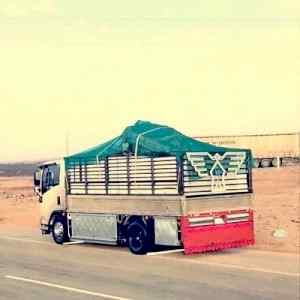 دينا نقل عفش داخل الرياض ونقل بضائع حي الجزير