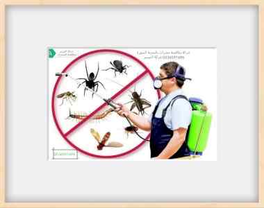 عقود مكافحة حشرات بالمدينة المنورة 0536591696