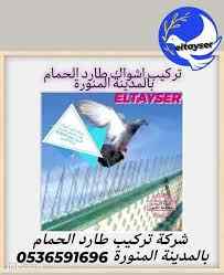 تركيب شرائح ودبابيس لطرد الحمام بالمدينة