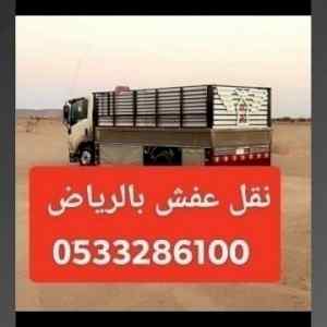 دينا نقل عفش حي الوزارات 0َ533286100 