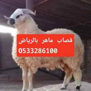 قصاب ماهر حي الغدير 0َ533286100 