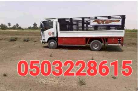 دينا نقل عفش حي الورود 0503228615