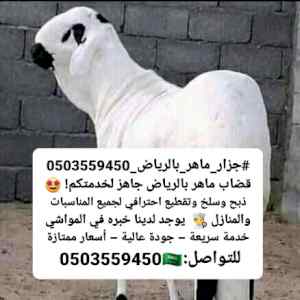 رقم جزار مواشي ذباح وسلخ خ بالرياض 0503559450