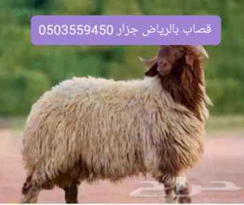 قصاب يزيح بالرياض 0َ503559450 قصابين 
