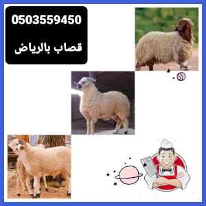 ذباح ماهر بالرياض 0َ503559450 جزار قصاب جنوب 