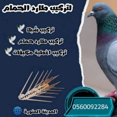 خدمات تركيب طارد الحمام