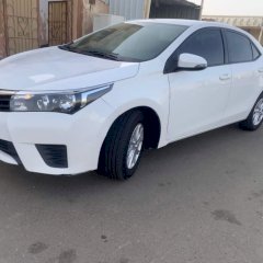 عبد العزيز الشمري 