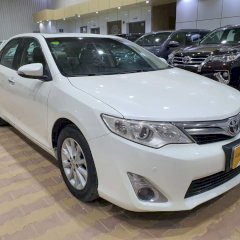 ابو فهد الشمري 