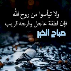 عبدالله٠٣٢