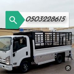 ابو محمد 12345